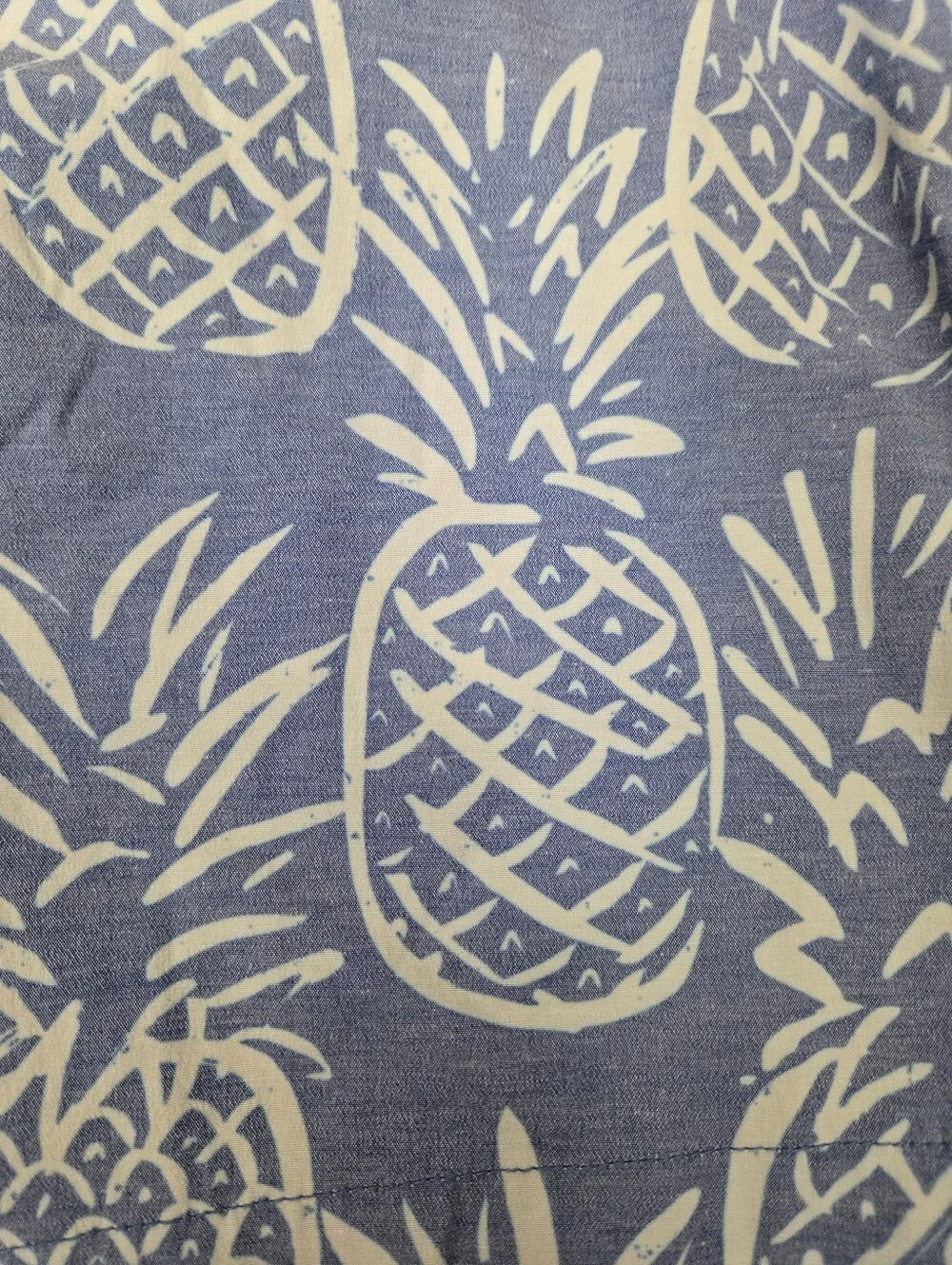 Chubbies Mens Blue Swim Trunks White Pineapple Print